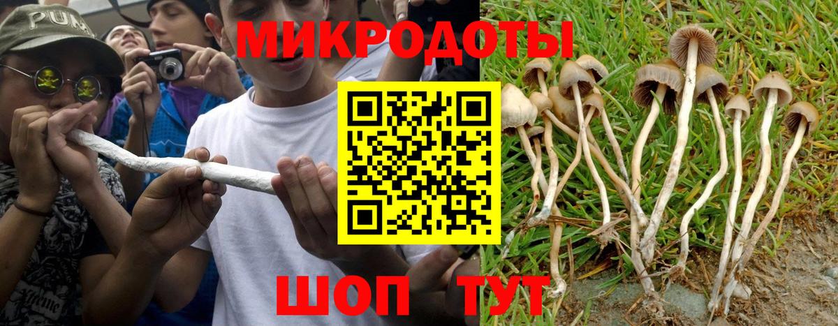 Галлюциногенные грибы GOLDEN TEACHER Новосибирск